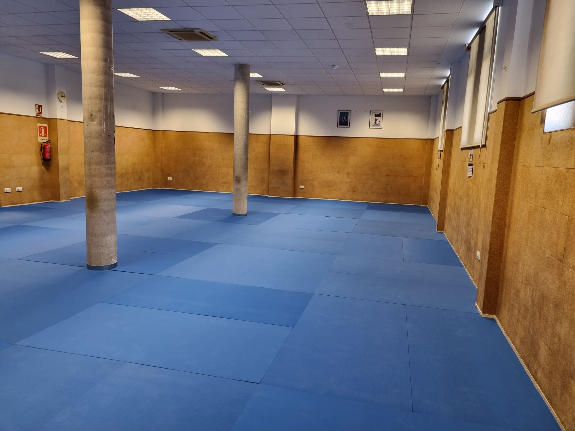 TATAMI VALENCIA